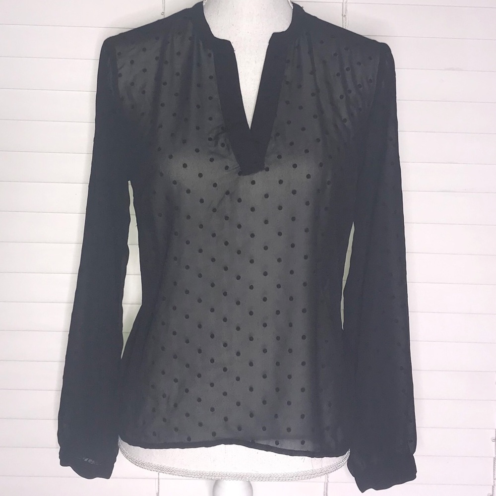 A New Day Sheer Polka Dot Blouse